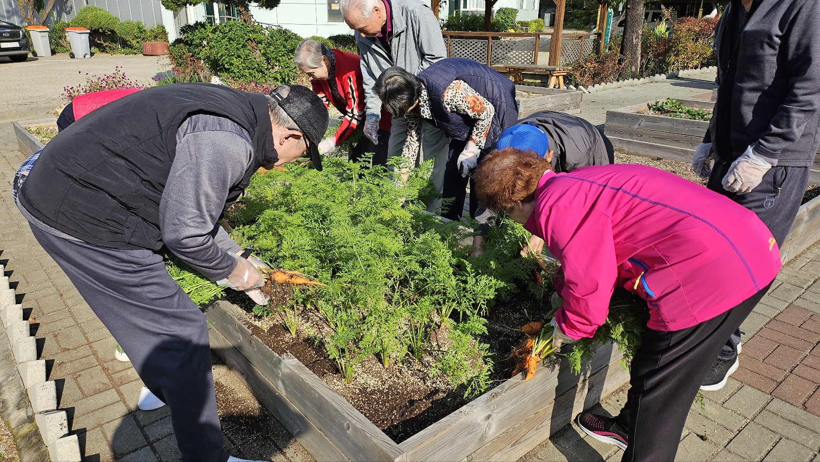 24/10 섭리의 집과 함께 수확하기