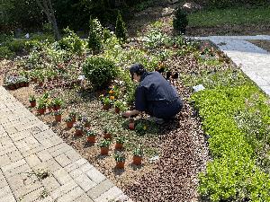 25/7 서울시 지원 '2025 슬로우 가드닝 클럽' 정원 가꾸기 및 보라매공원 나들이