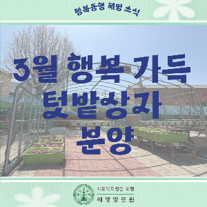 3월 행복 가득 텃밭 상자 분양